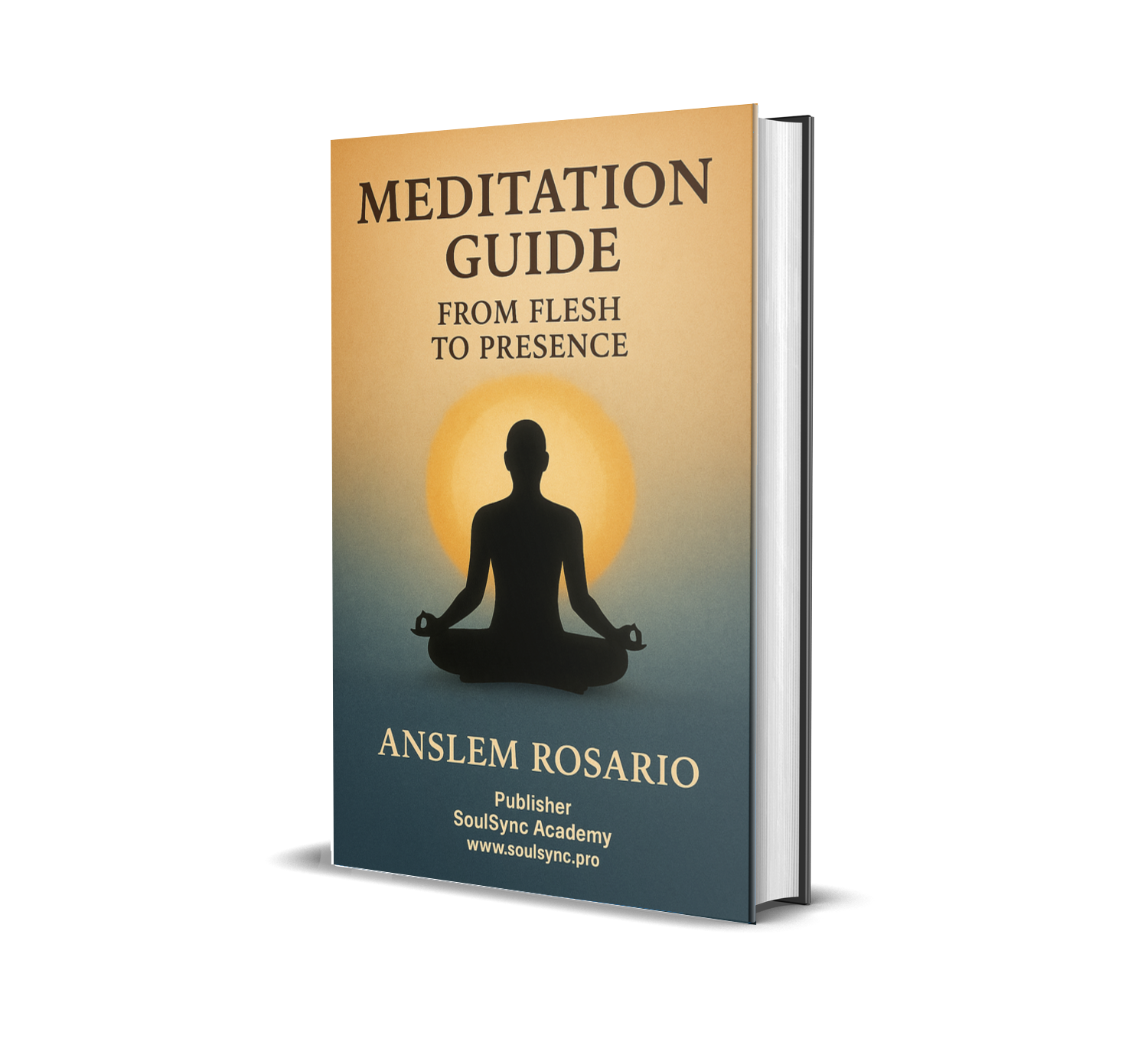 Meditation Guide